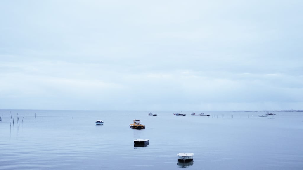 Vacances dans le bassin d'Arcachon